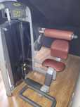 TECHNOGYM maszyna na prostowniki grzbietu