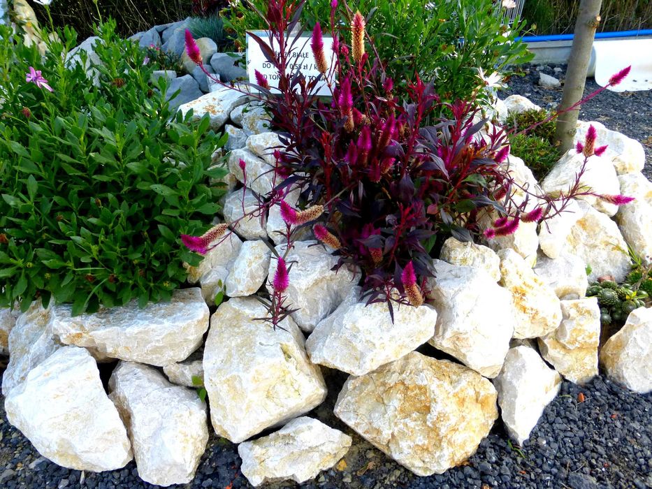 Kamień Bryły Głazy Biały Skalniaki Skarpy Ozdobny Ogrodowy Ogrodzenia