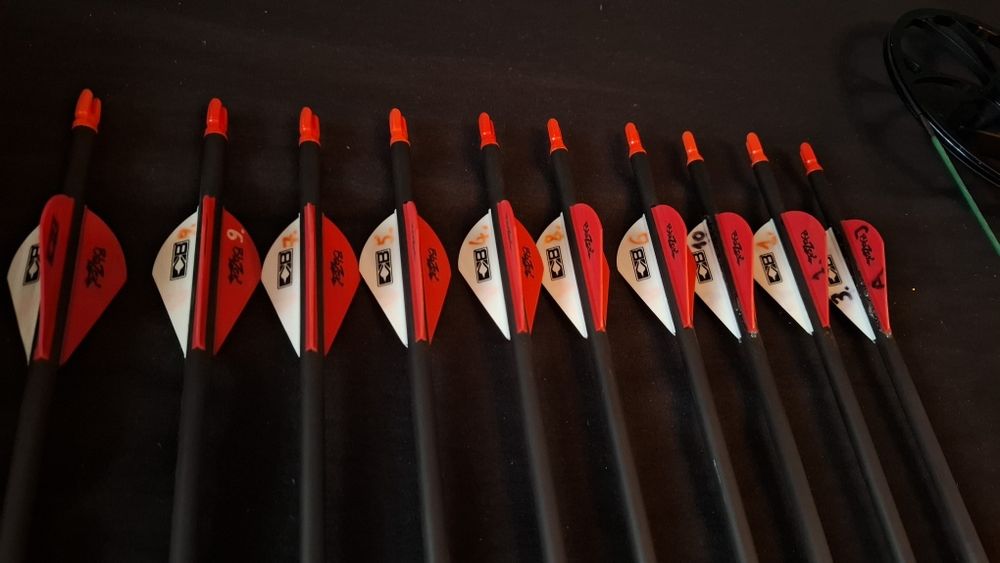 Sprzedam Łuk Bloczkowy BEAR SPECIES LD