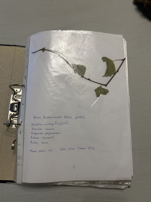Zielnik Herbarium