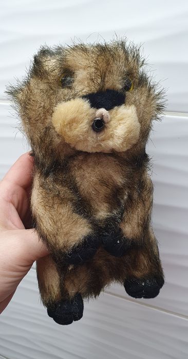 Świstak pluszak na fotokomórkę reaguje na ruch gwizda