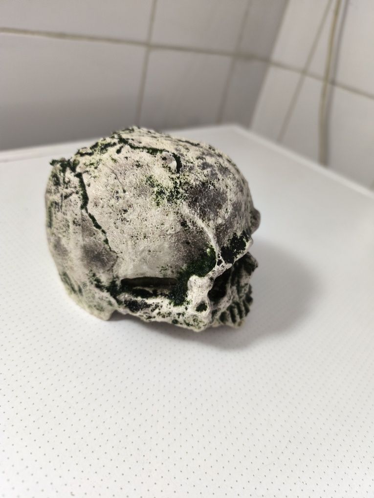 Decoração aquários