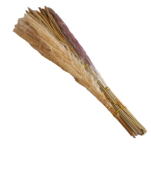 Bukiet suszonych traw pampasowych 43cm 65szt