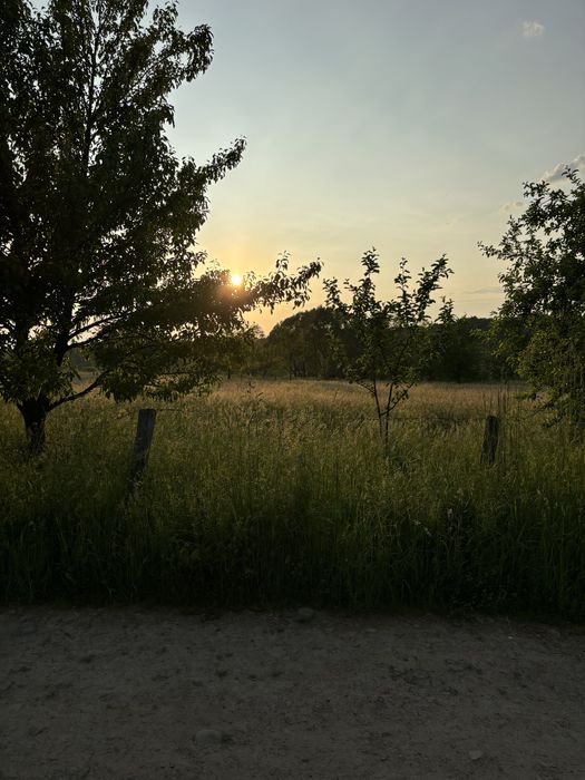 Земельна ділянка Болехів