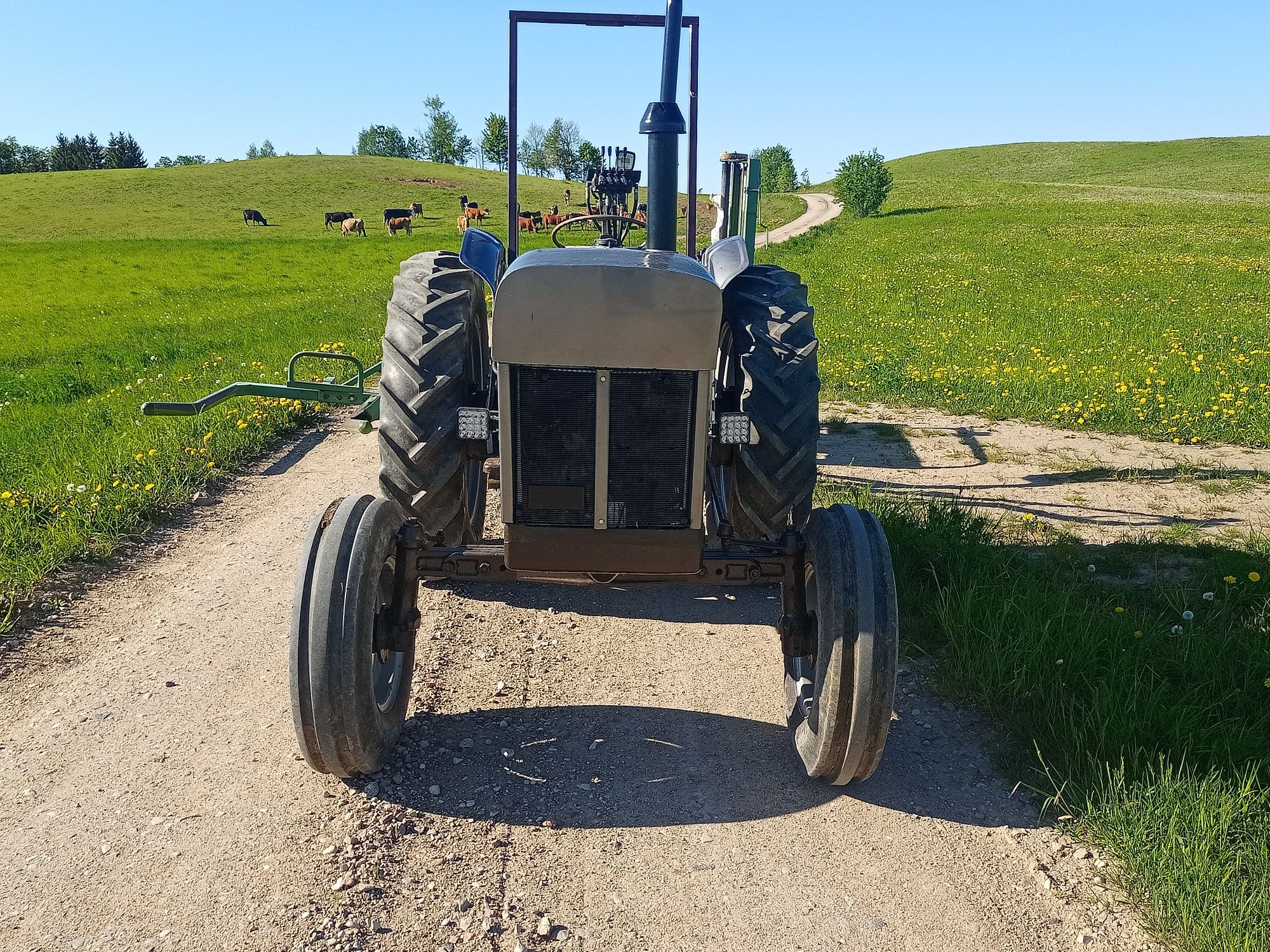 Case/David Brown 990A ursus-zetor, zamienię na bydło mięsne