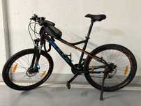 Rower Bulls Sharptail 2