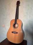 Гітара Tanglewood DBT DLX D