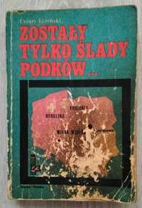 Zostały tylko ślady podków, sztuka, '84 [Sesja #38]