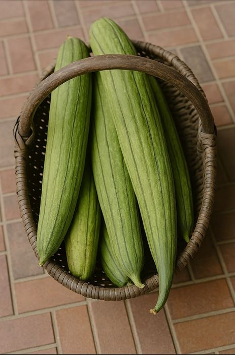 Натуральні мочалки з люфи