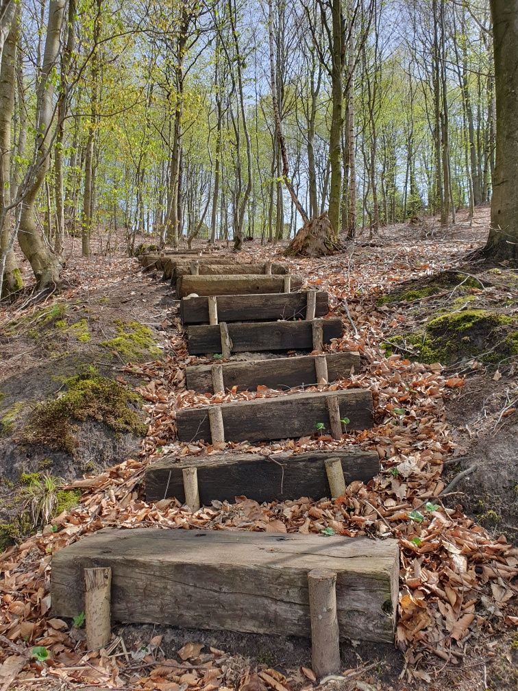 Kaszuby domek  nad jeziorem linia brzegowa sauna goraca bania