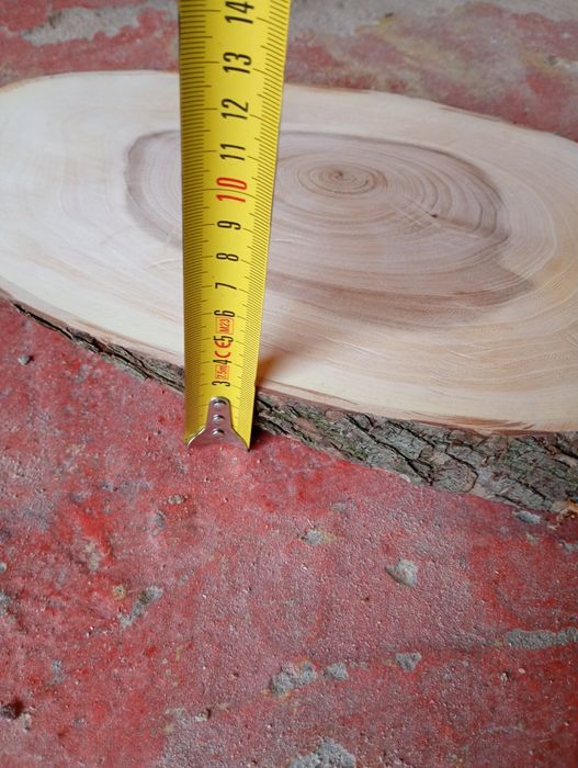 Plaster drzewa wiązowego