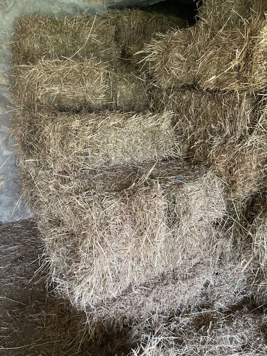 Vendo fardos de feno niscidiço