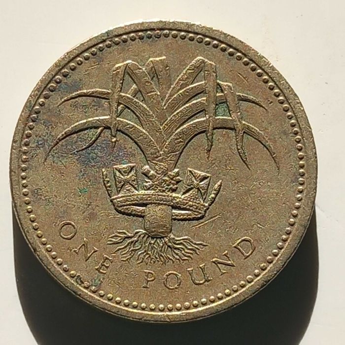 Moeda inglesa de uma libra