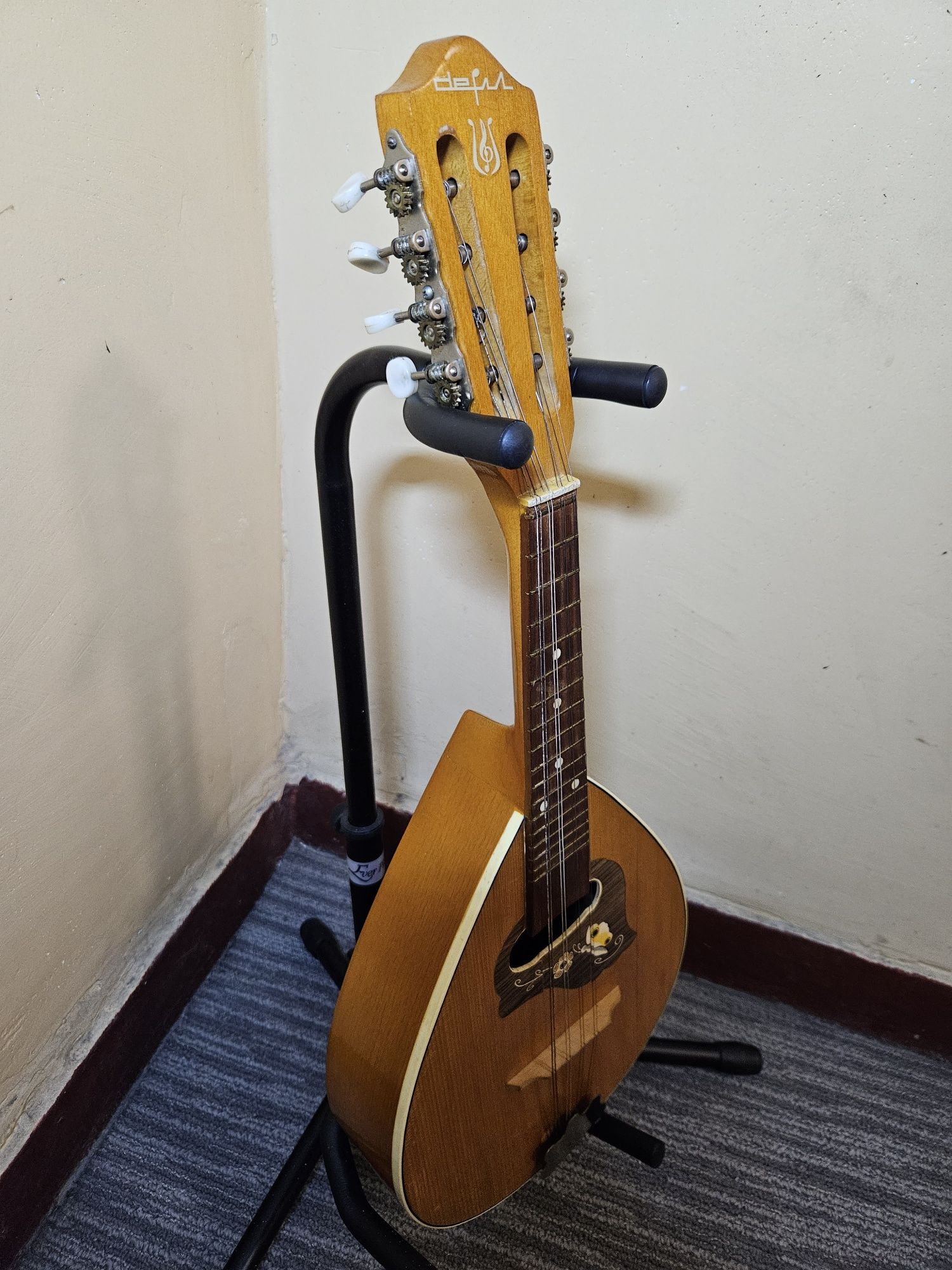 Gitara, Mandolina,Ukulele,Banjo