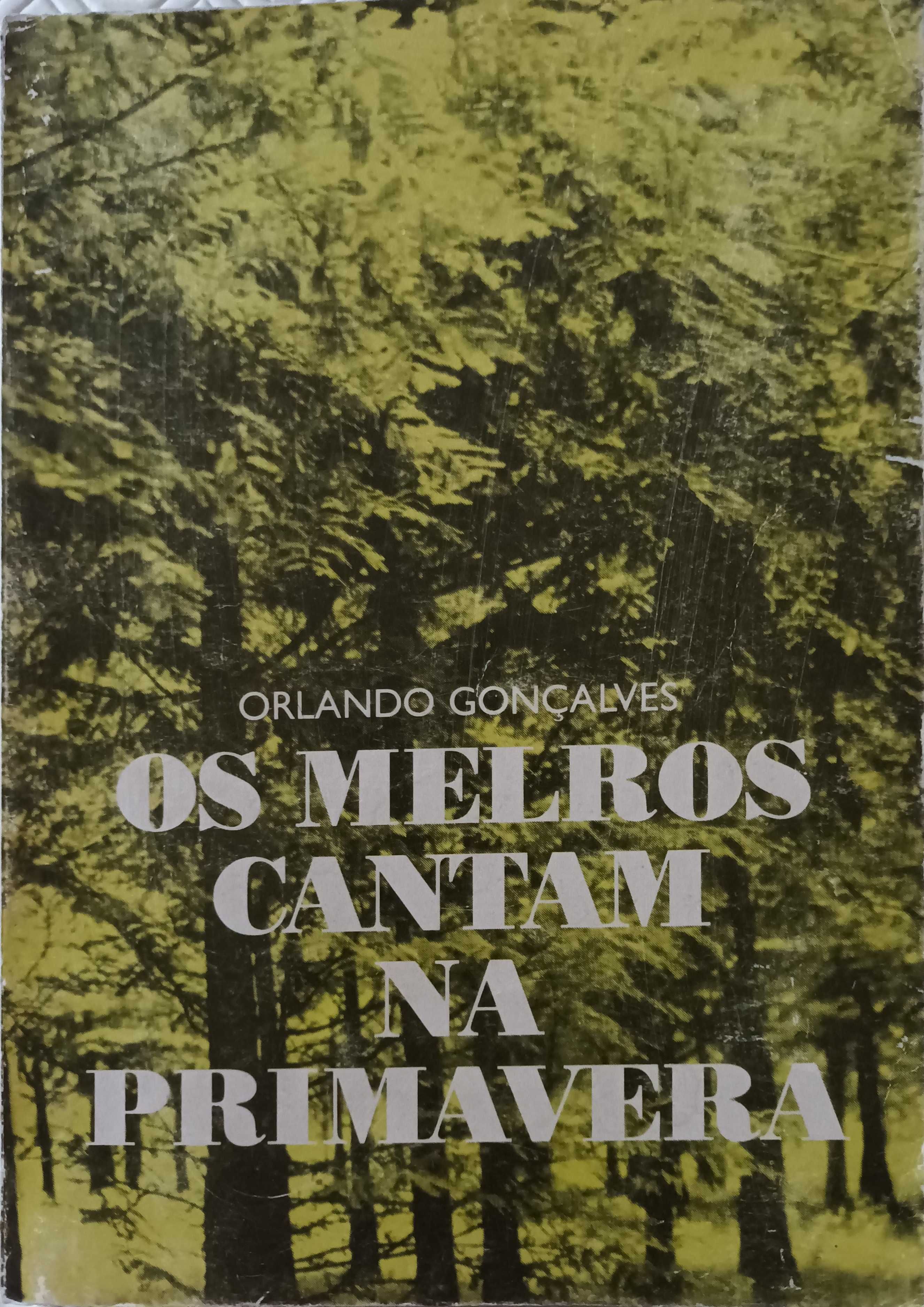 Os Melros Cantam na Primavera, Orlando Gonçalves