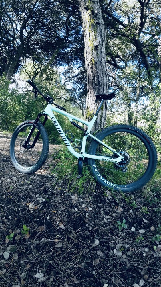 Specialized Epic