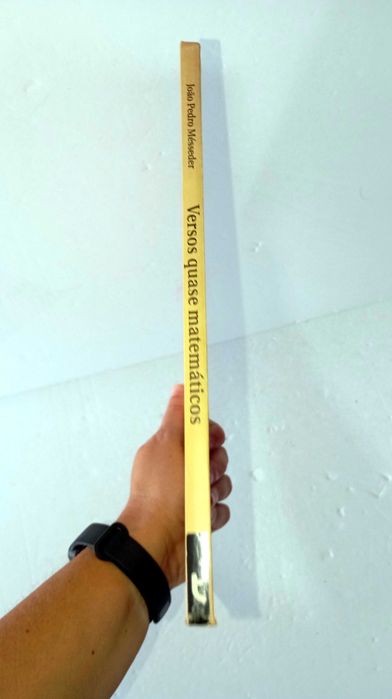 Versos Quase Matemáticos - João Pedro Mésseder