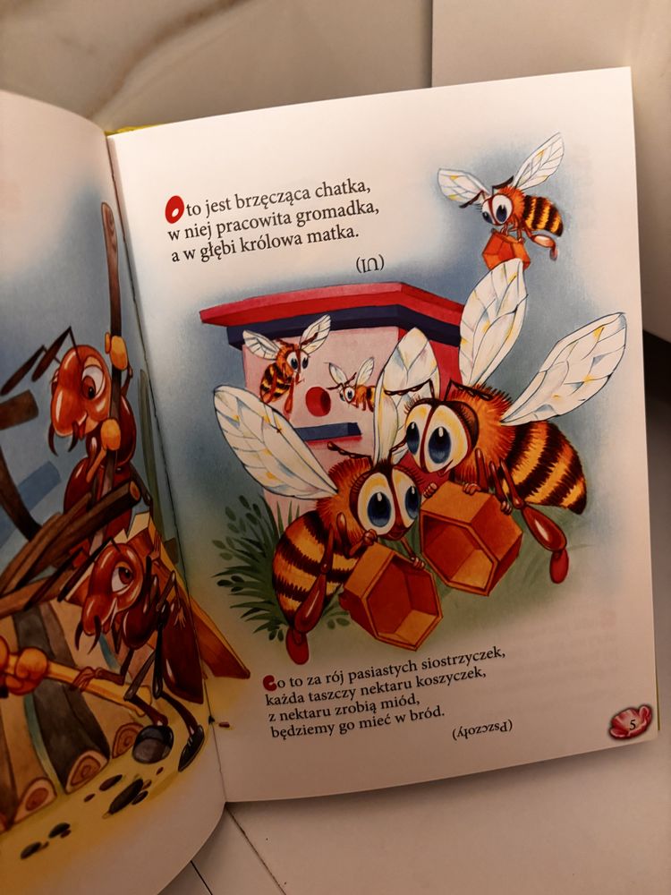 Uszka ma długie…zagadki