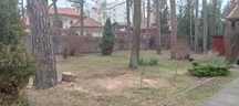 Покіс високої трави, чагарниківі.
 * Розчищення ділянки, вируб