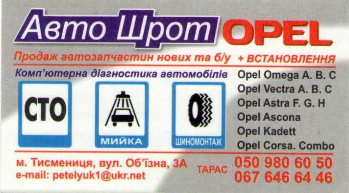 Туї, драбан, ялівець, ялинка, туя, сад, ялинки, йолка, Смарагд,Брабант