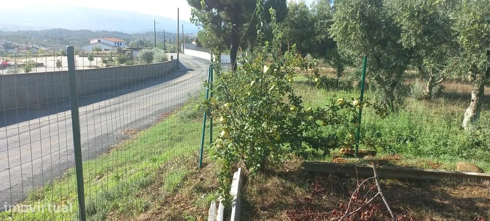 Encantadora Propriedade com construção e vista para Montanha