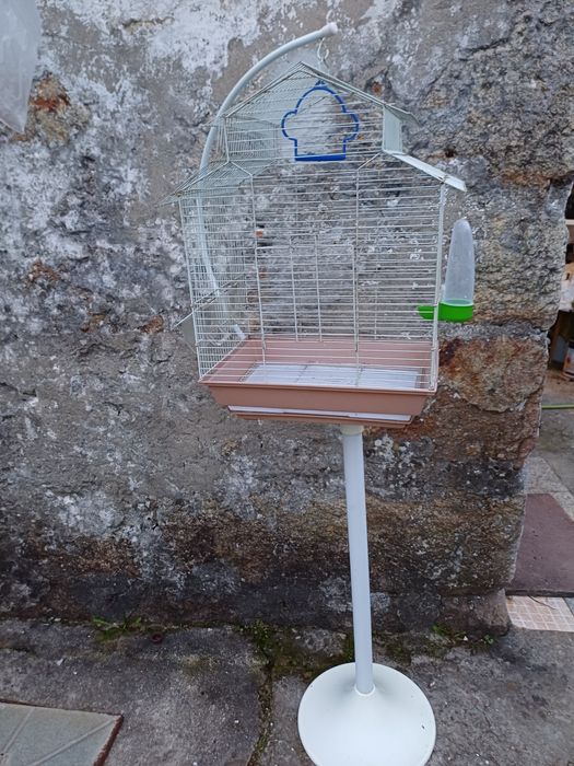 Conjunto de gaiola e pé