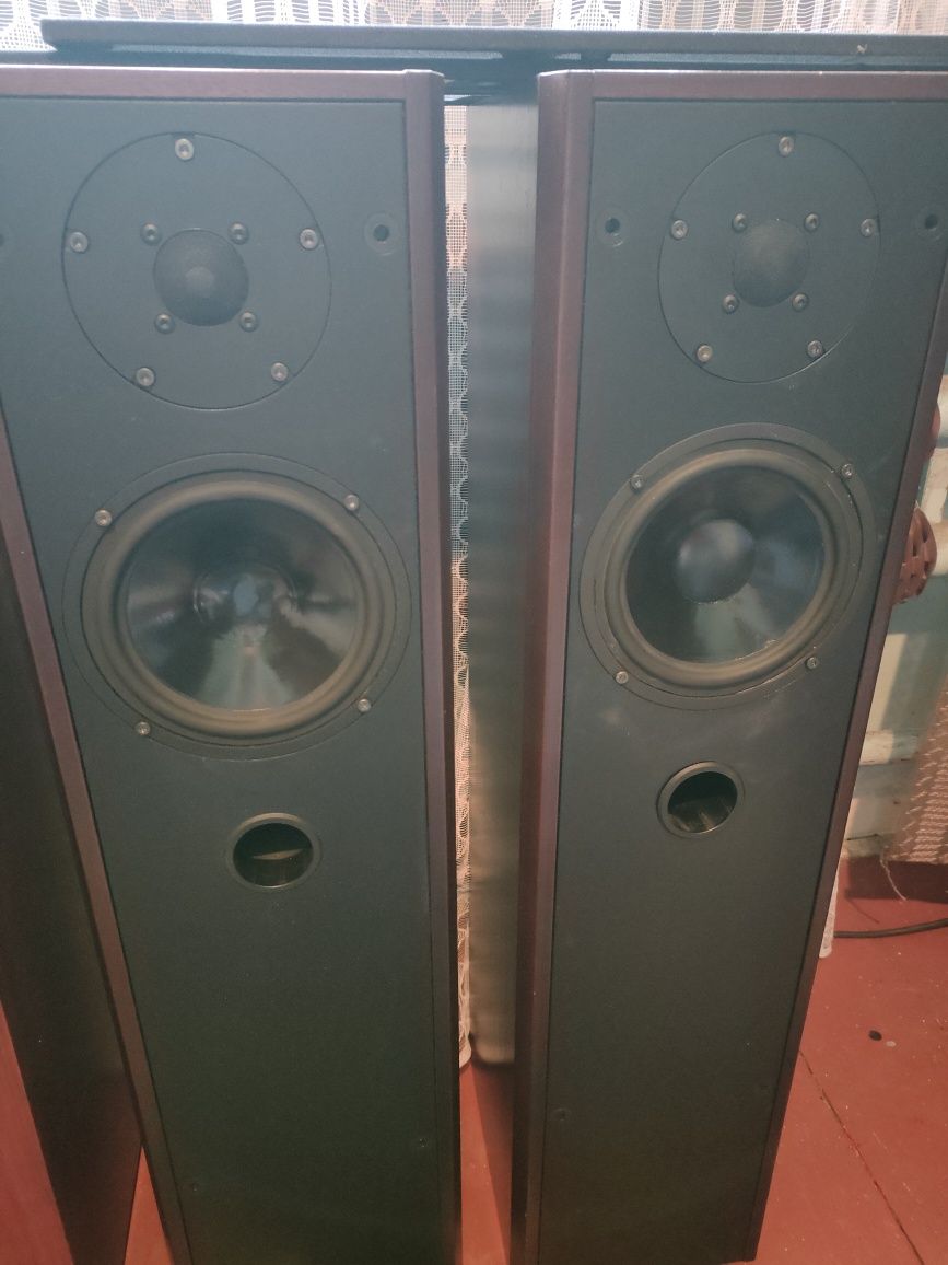 Kolumny DLS R55w bdb stanie