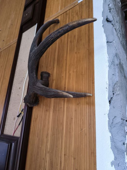 Люстри та  бра з рог  оленя