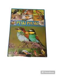 Książka o ptakach Polski