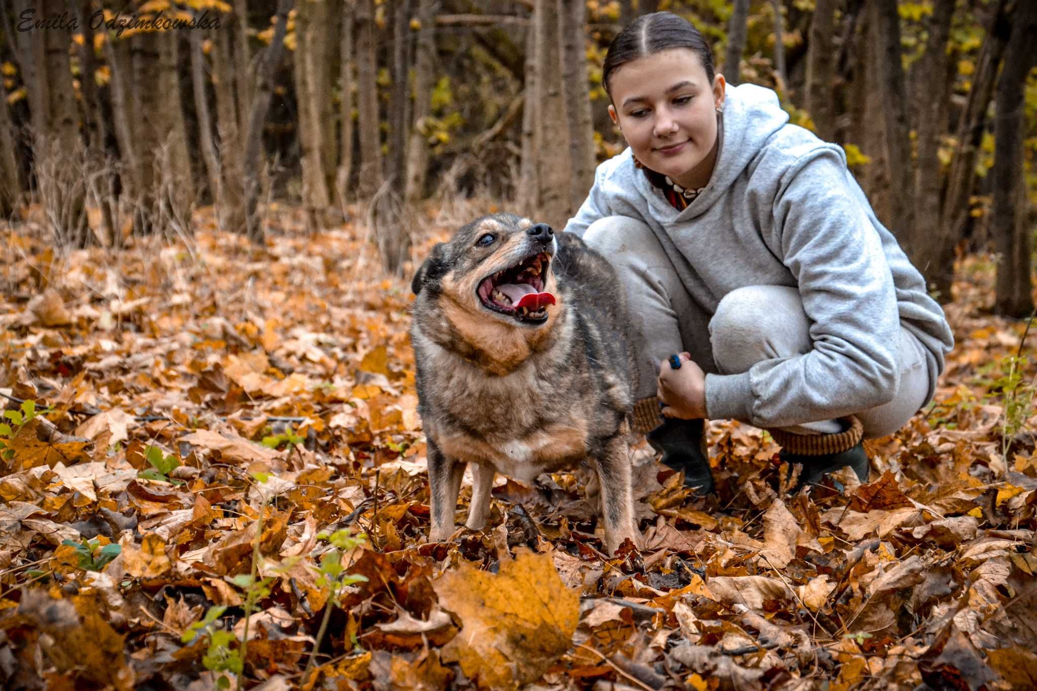 Tymek- wdzięczny i radosny psiaczek