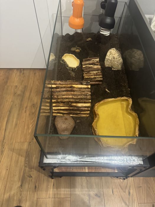 Terarium Sprzedam
