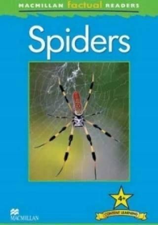 Factual: Spiders 4+, Claire Llewellyn