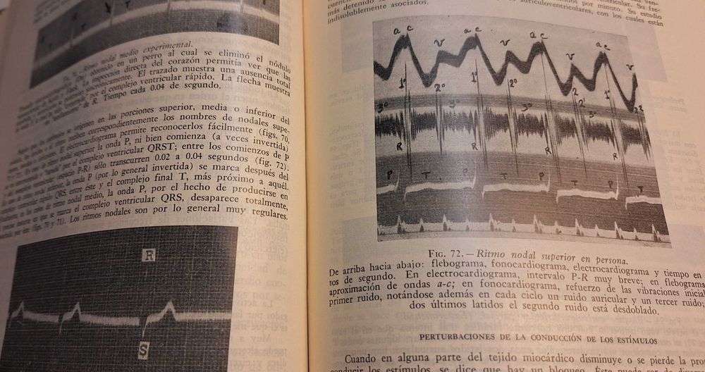 Medicina - Fisiologia Humana