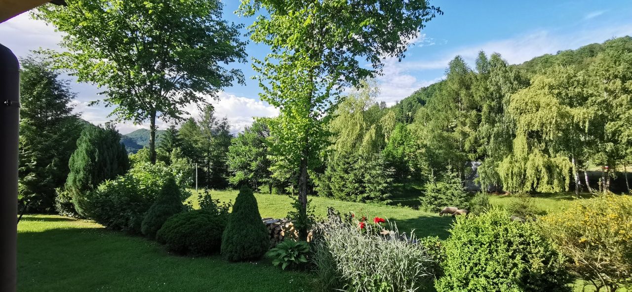 Bieszczady domki w górnym końcu