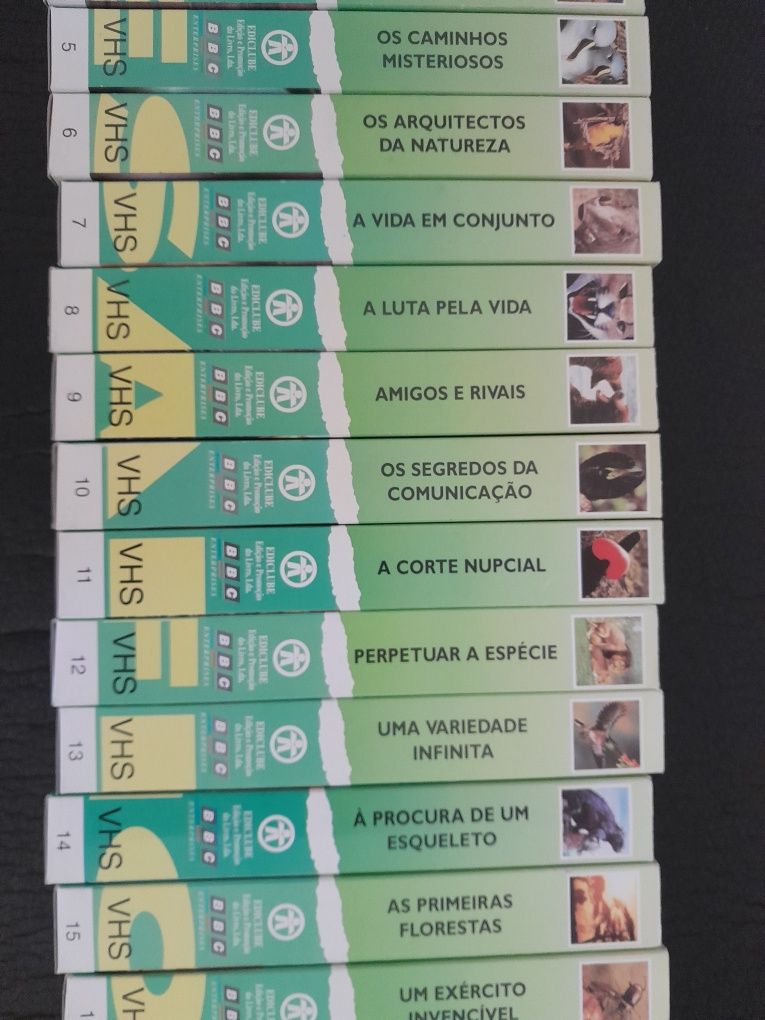 Cassetes vhs desafios da vida