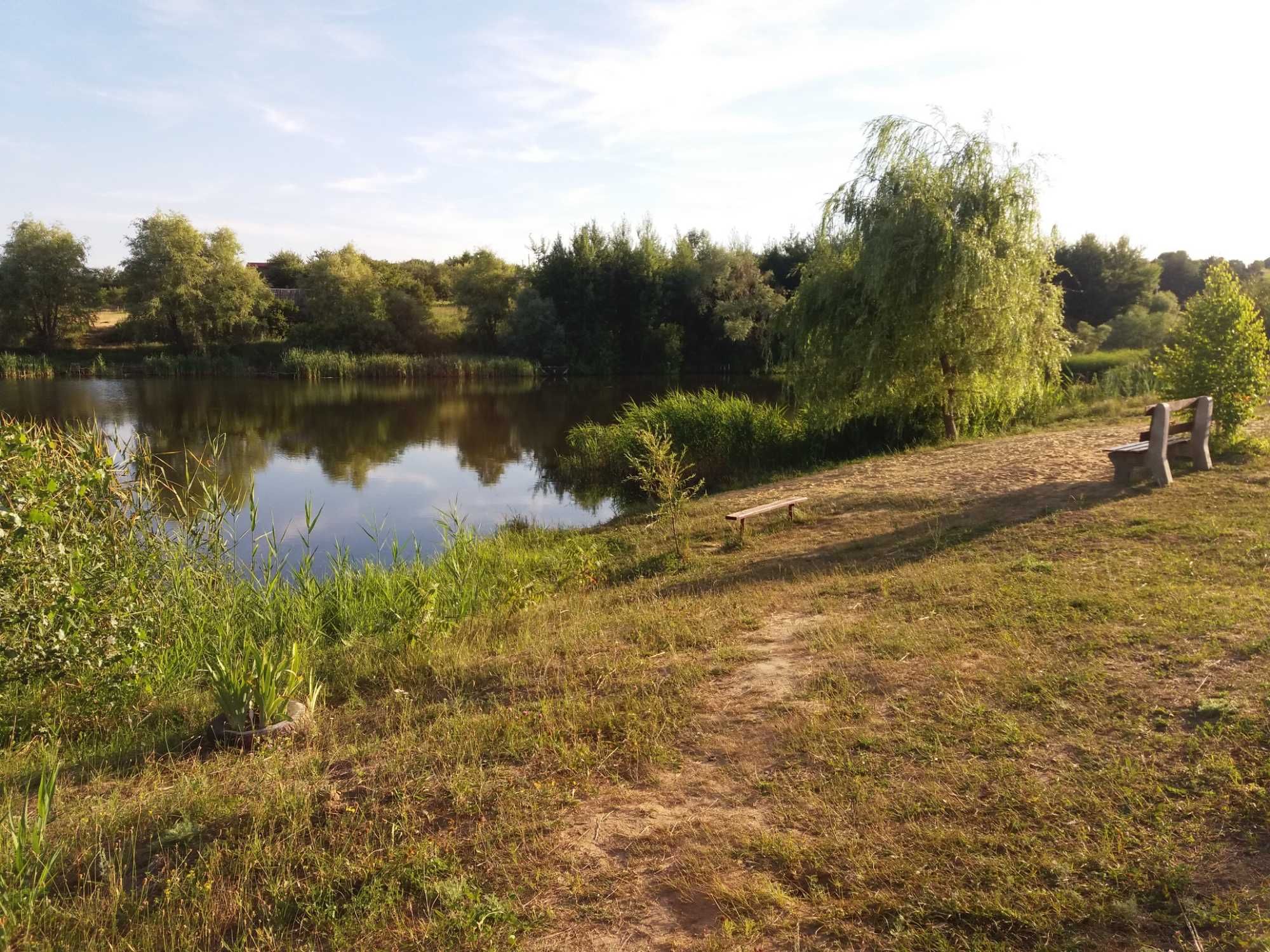 Дача біля води + ліс.