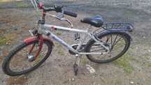 Rower gazelle shark
