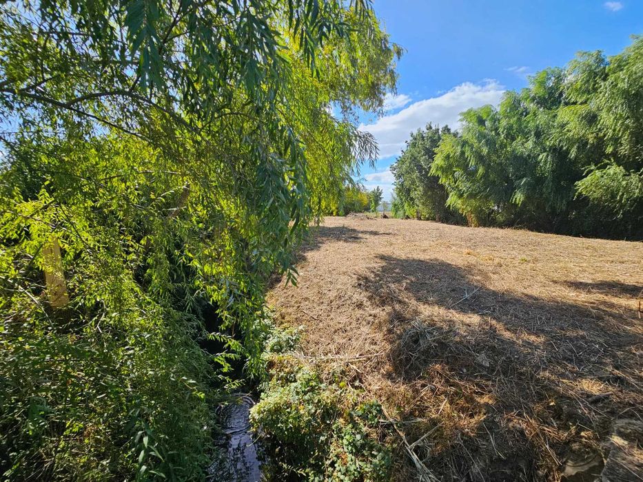 Quintinha da Ilha, Torres Novas, Junto ao Rio Almonda