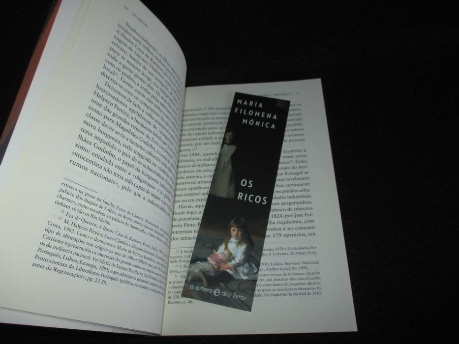 Livro Os Ricos Maria Filomena Mónica