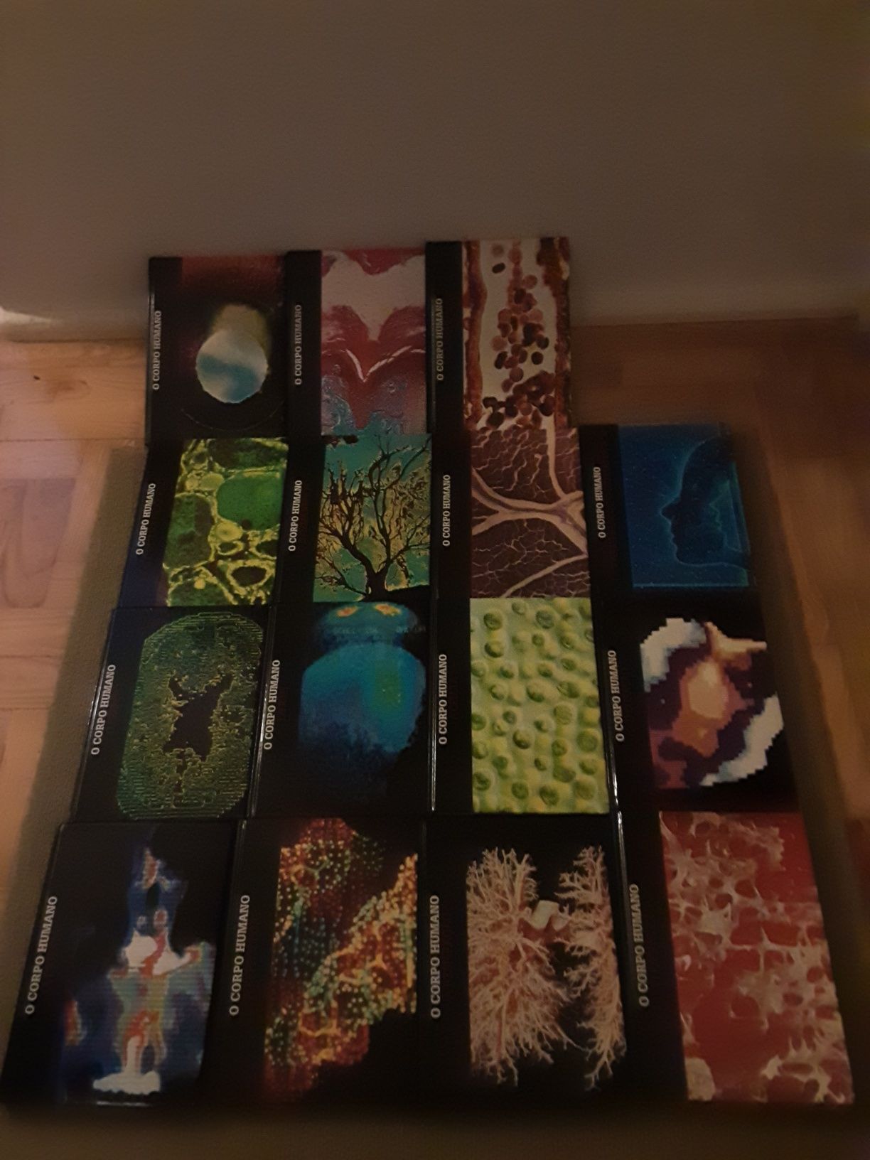 Coleção de Livros Corpo Humano