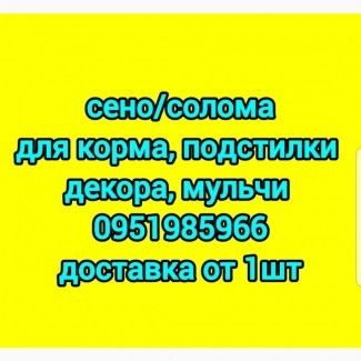 Сено СОБАКАМ для будки в тюках мешках, сіно горох с доставкой.