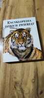 Encyklopedia Książka  Dzikich Zwierząt Mikke Peggy Briggs