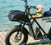 GT53 eBike/ Mota Elétrica
