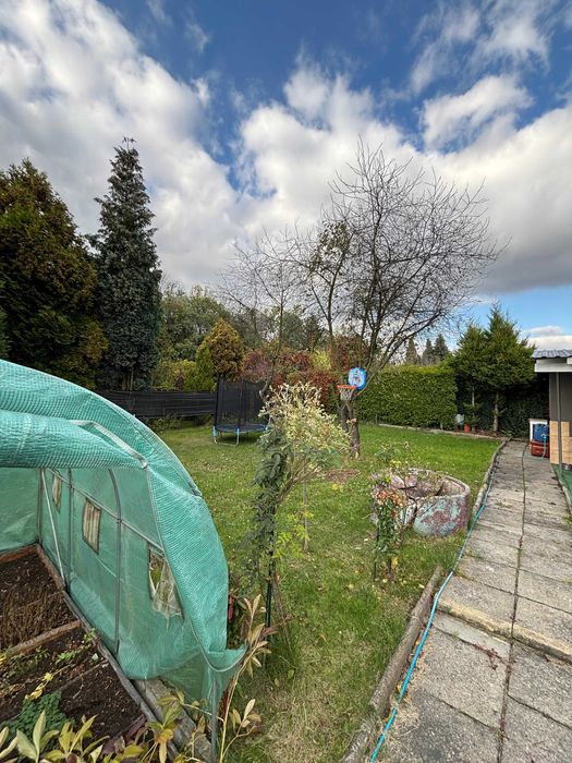 Ogródek działkowy ROD Świętochłowice Skałka