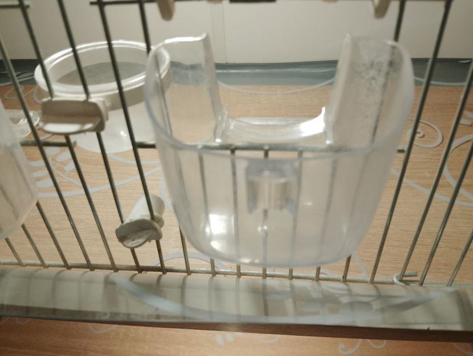 Karmidła dla ptaków