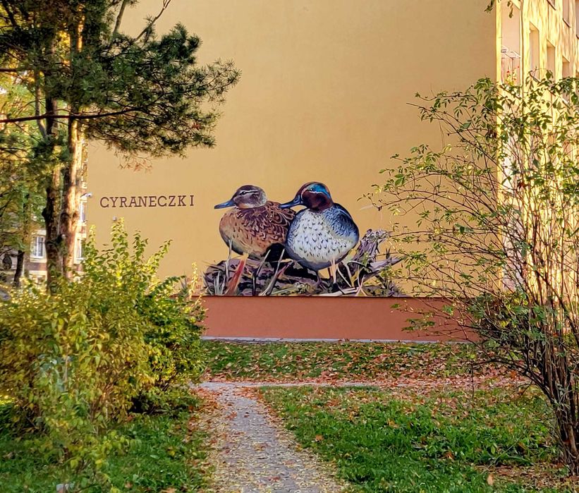 Murale, Street art, Graffiti artystyczne - Animacje na Ścianie