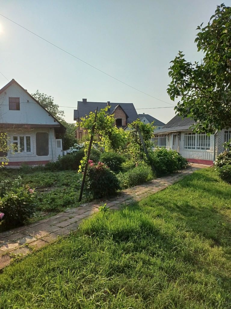 М. Новоселиця.Продається будинок