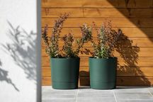 Donica Aura z podstawką 28 cm awokado