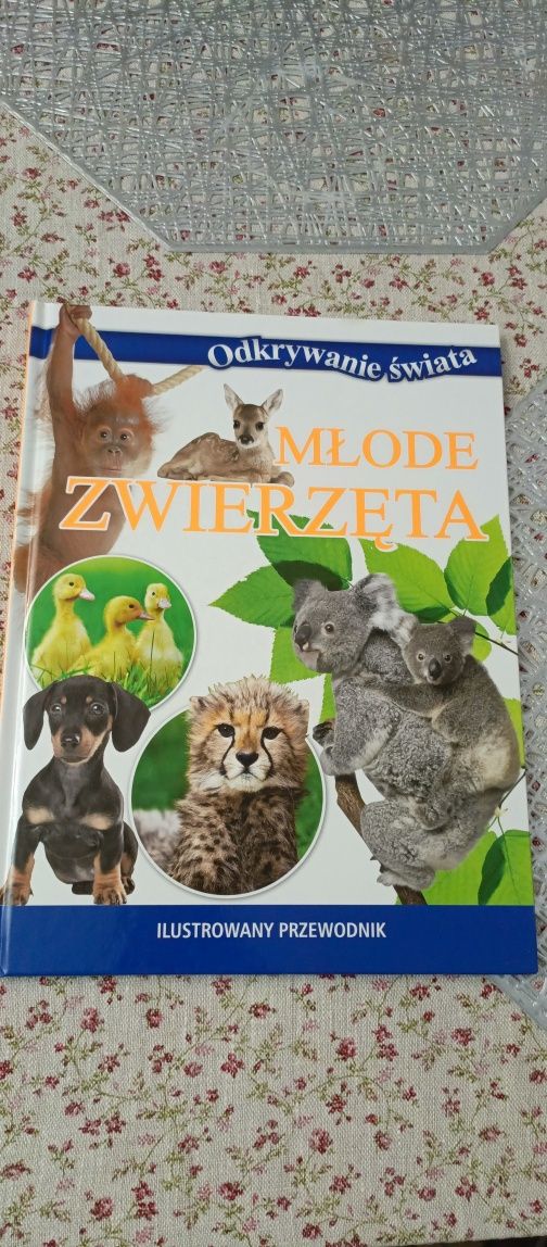 Młode zwierzęta Odkrywanie świata