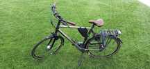 Rower Gazelle Eclipse T24 Super stan
